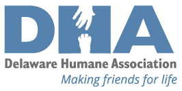 dha-logo