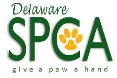 de spca logo