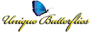 unique-butterflies-logo