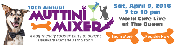 2016-Muttini-Mixer-banner-for-home-page