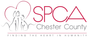 brandywine-spca-logo